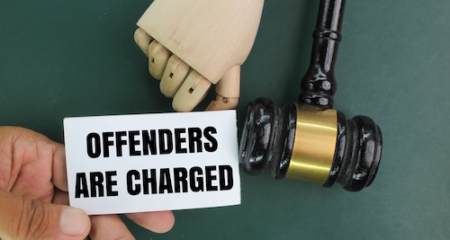 public order offenses defense attorney representing charges in Tennessee